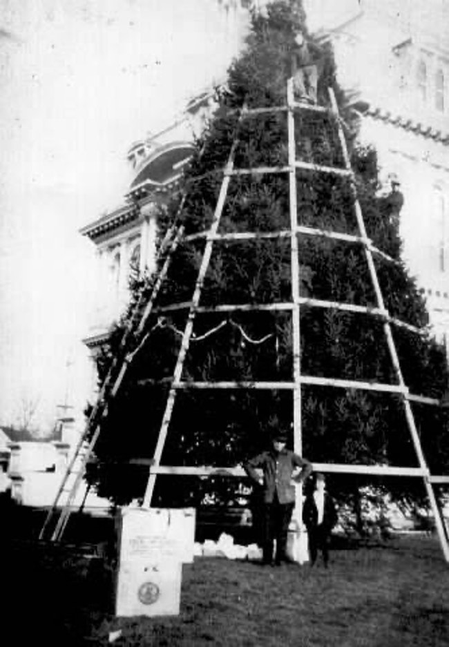 COLUMN: Salem's first Christmas tree