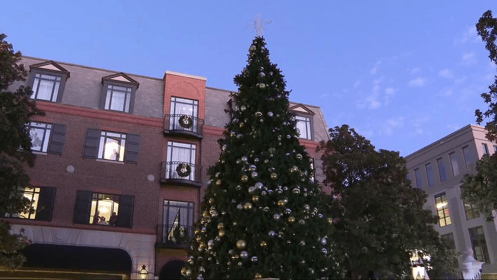 Christmas tree lightings are taking place across the Lowcountry this weekend