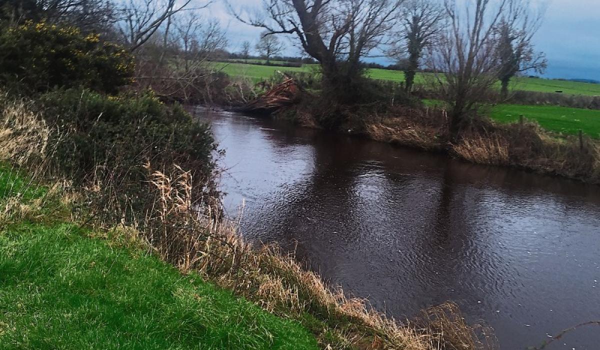 IFI will provide over €1 million in 2025 for transformative river restoration projects