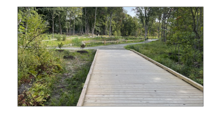 Reading celebrates completion of major wetland restoration project | Middlesex East