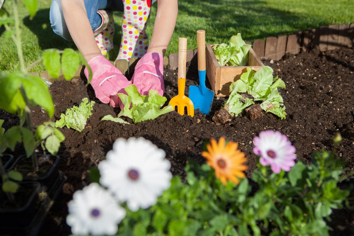 Planning a sustainable garden for the new year is easy with these 5 tips