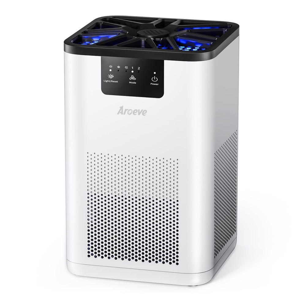 Air purifier 