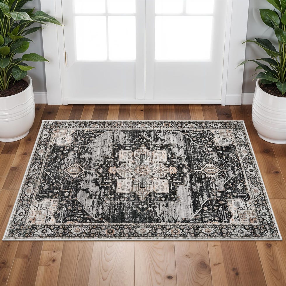 Washable 2x3 area rugs Washable 2x3 area rugs