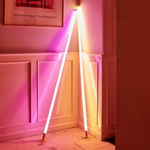 Hay neon tube LED