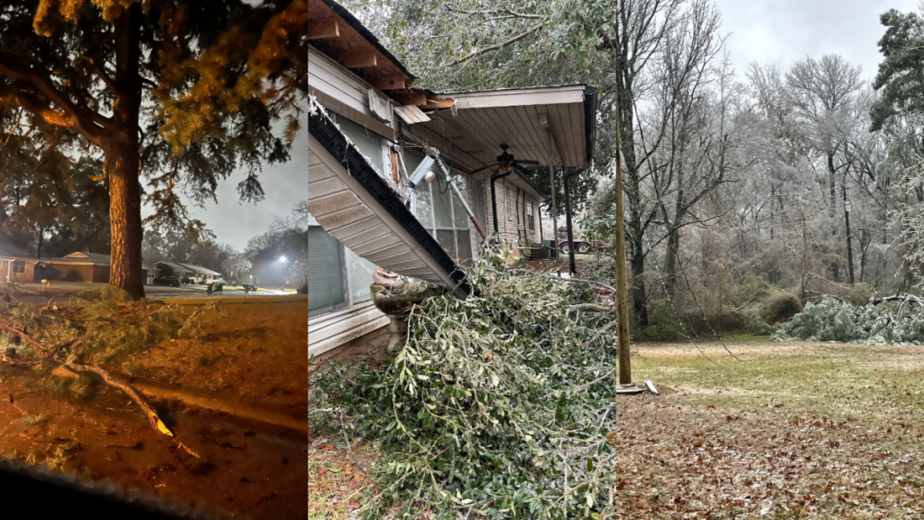 Winter Storm Cora - Update #2 - The Gilmer Mirror