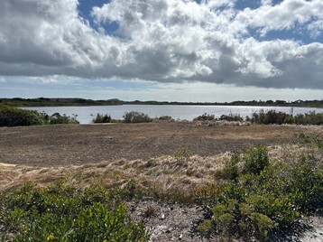 3 highland area that is restored as a sandplain grassland