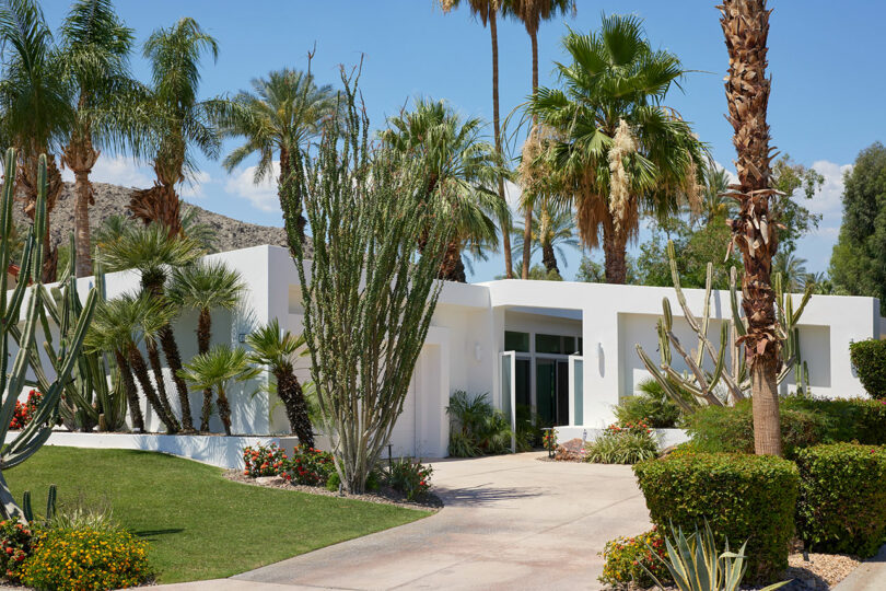 Modern white house, surrounded by lush palms, cacti and green on a sunny day.