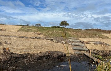 2 Long Pond Edge Post Invasvie removal area covered with erosion control ceiling