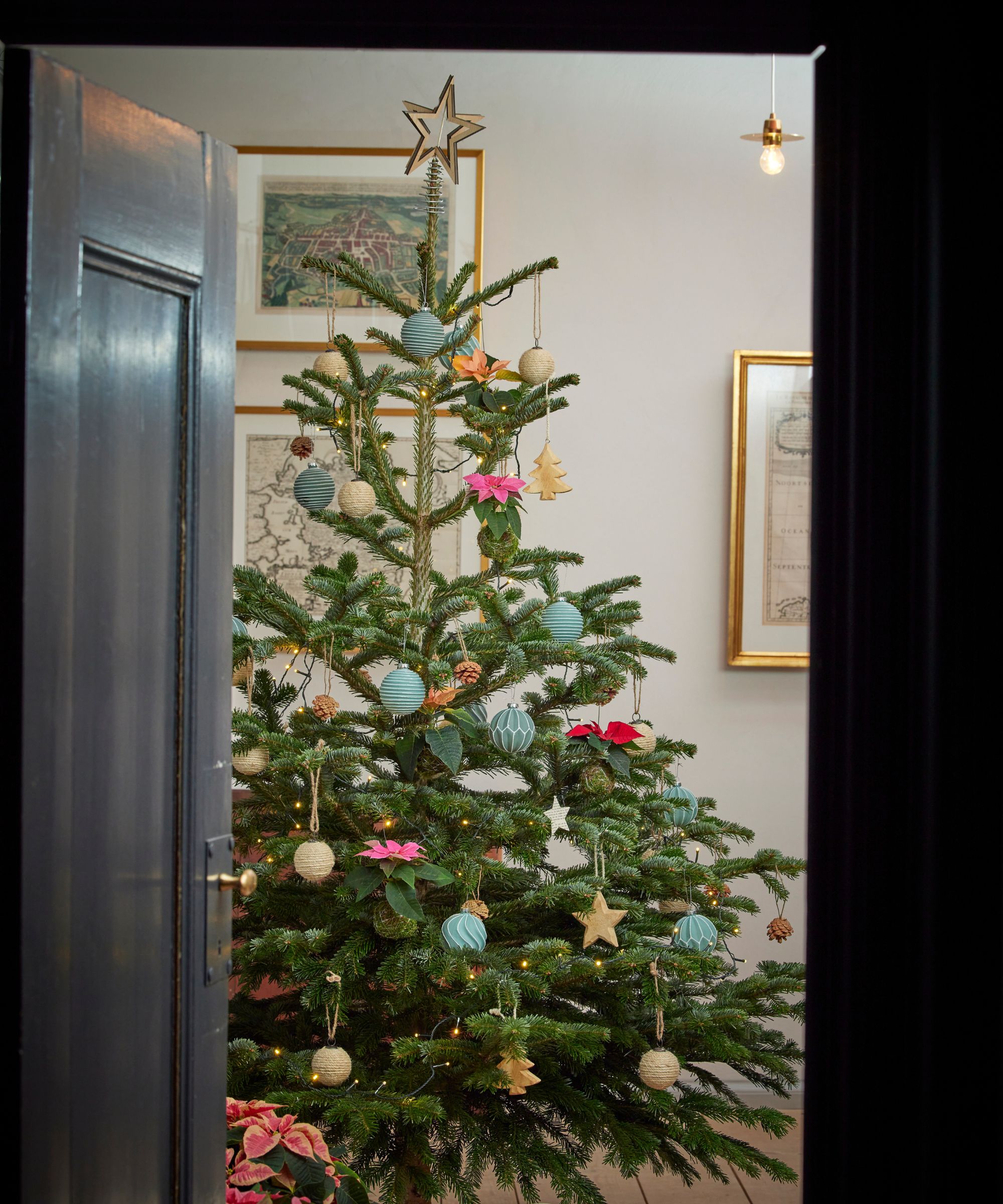 A brightly colored Christmas tree beyond a dark painted door