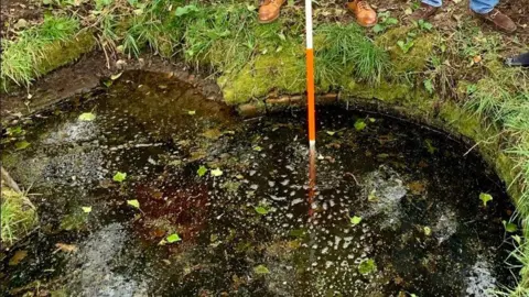 Helen Heywood, a small green pond with leaves that hovers up at the top