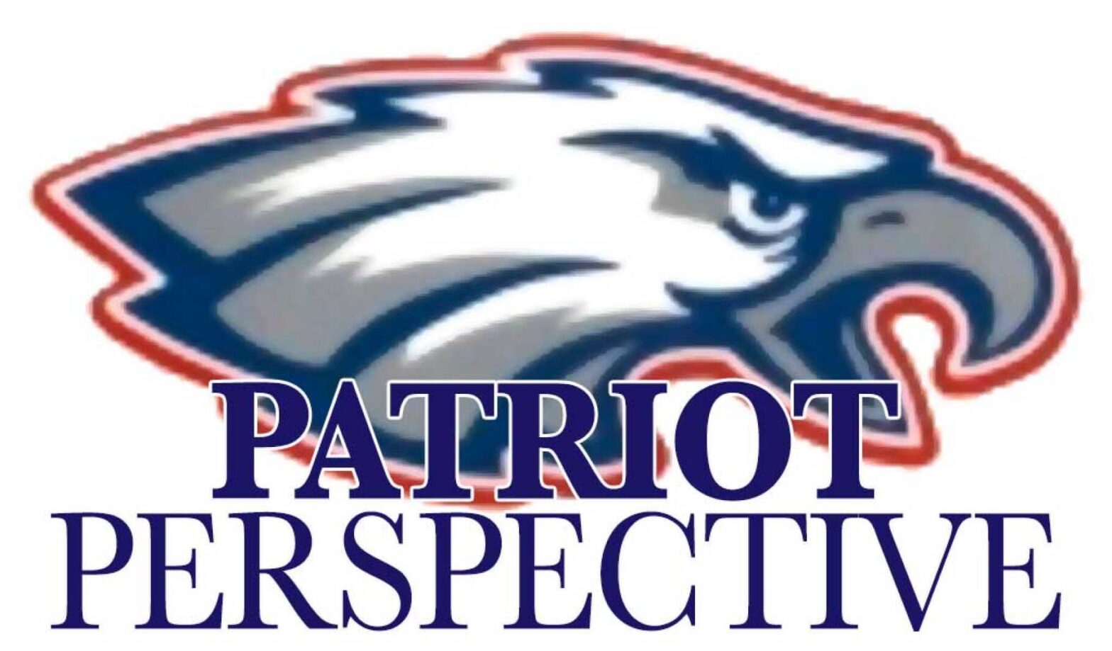 Patriot perspective: answered questions of special choice - Pine and Lakes Echo Journal