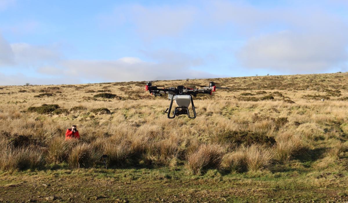 The drone seeding study aims to revolutionize the restoration of the rainforest