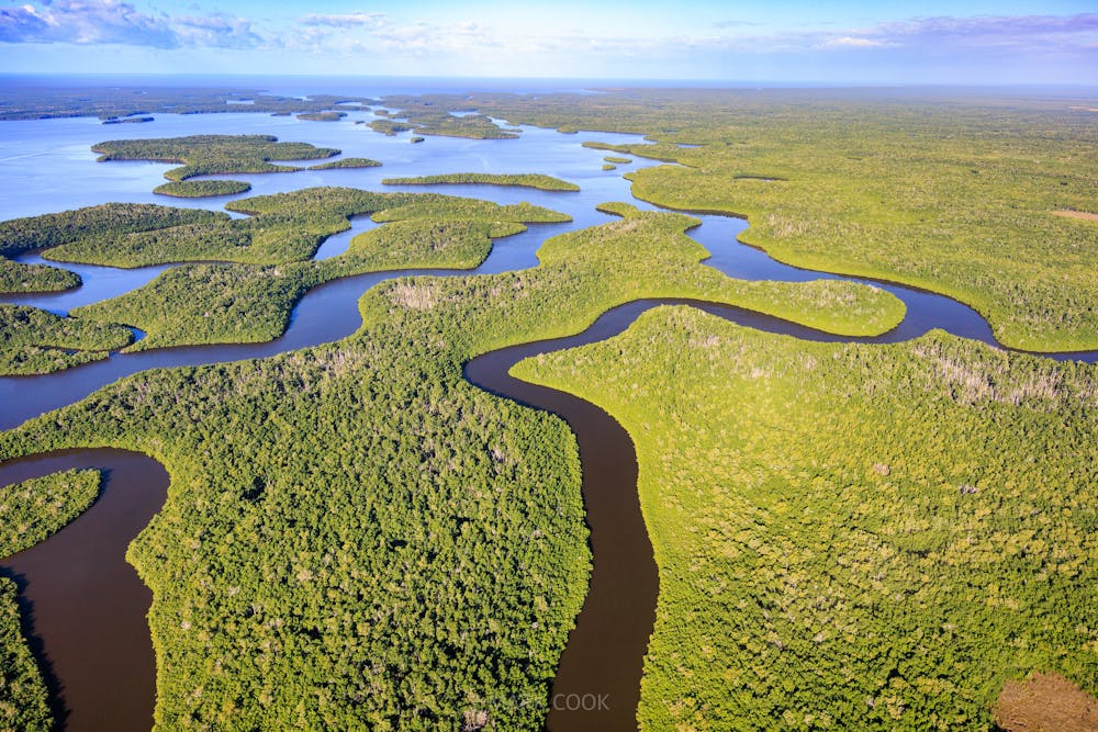 An aerial absorption with waterways and an area with open water in the Everglades.