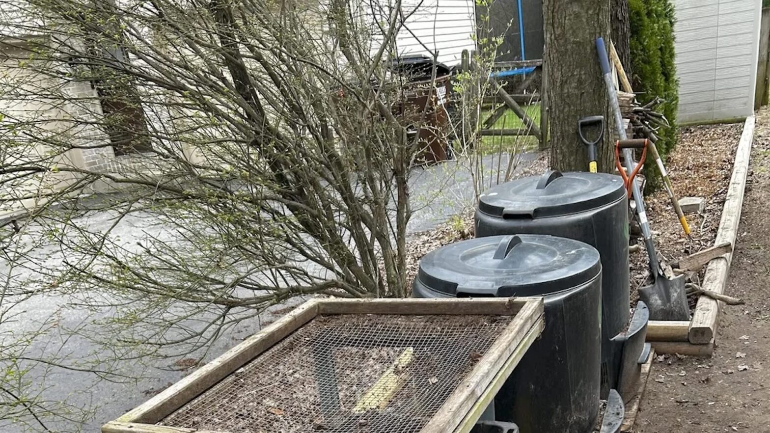 "You gave me a project"