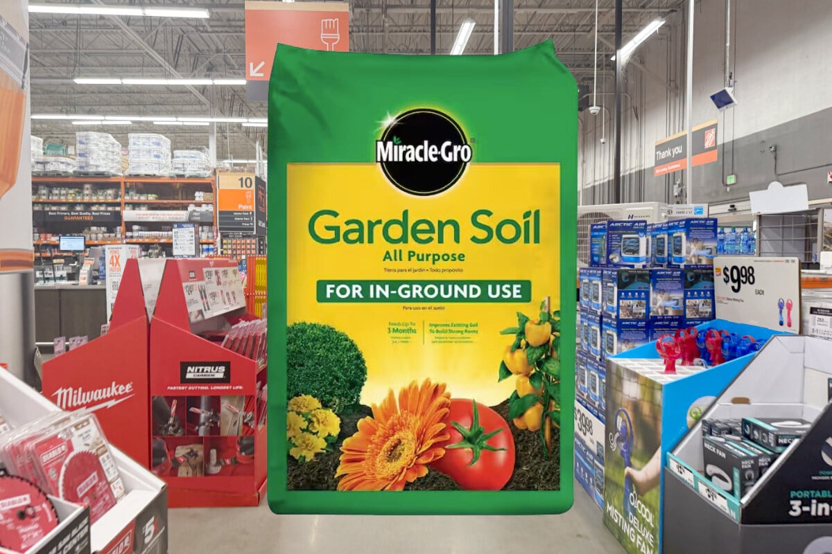 Transform your garden with these spring offers at home depot