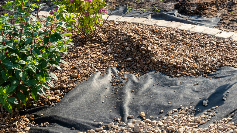 Gravel surrounded by paving stone edges await you to be smoothed through black landscape design