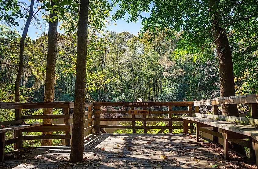 Congaree National Park in South Carolina.