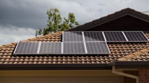 Environmentally friendly renovation work at home | Remax Canada