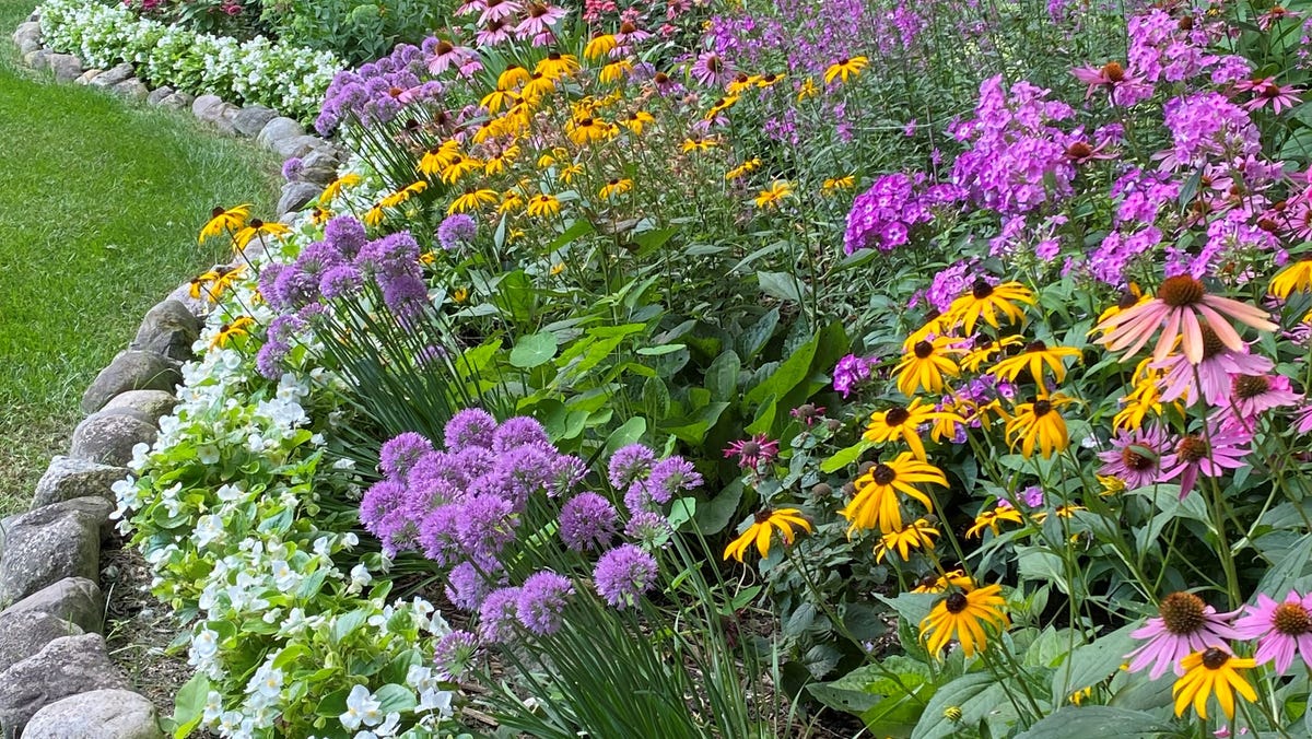 HomeSyle's garden photo competition is preparing for 2025