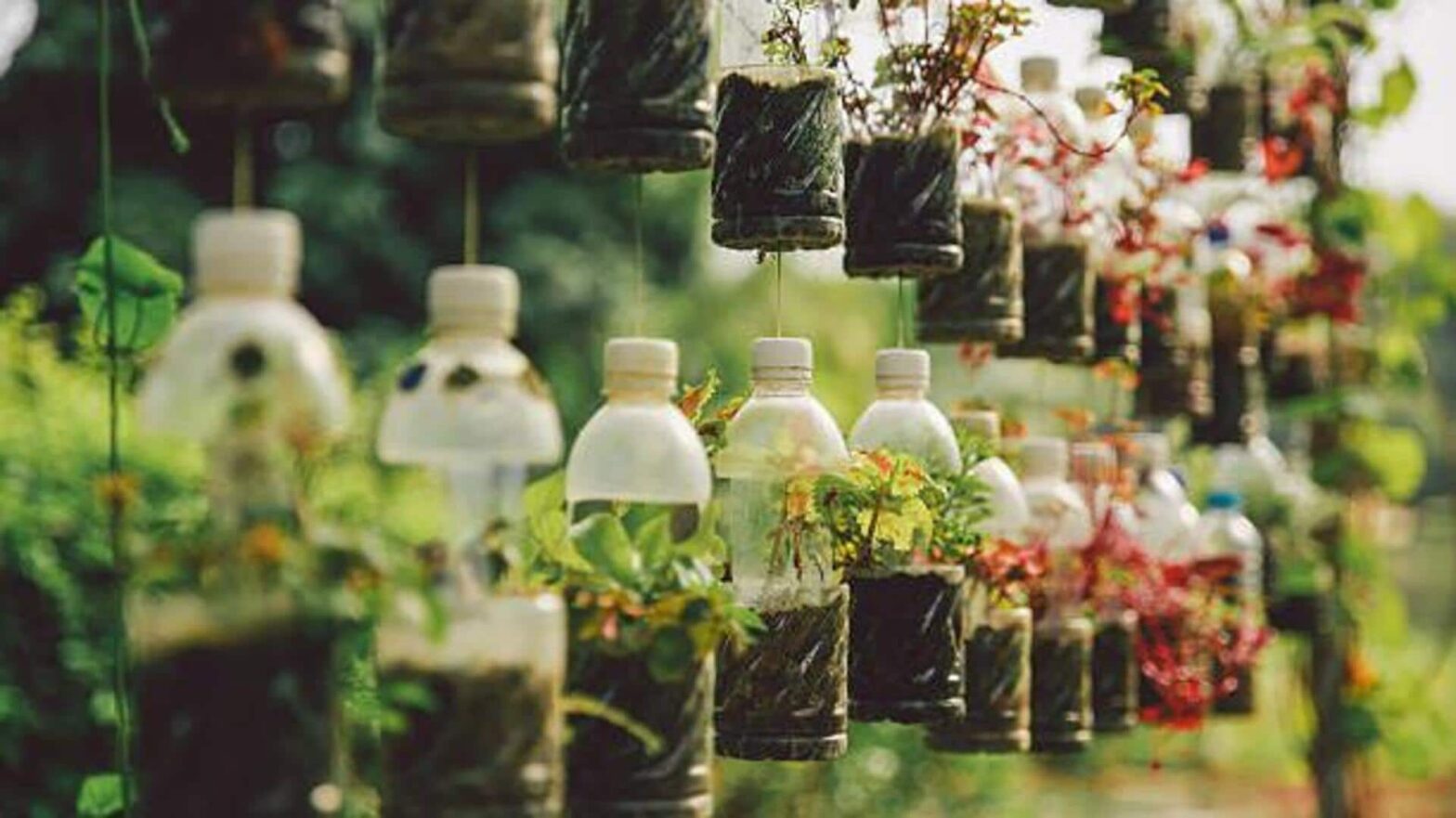 How to reuse plastic bottles
