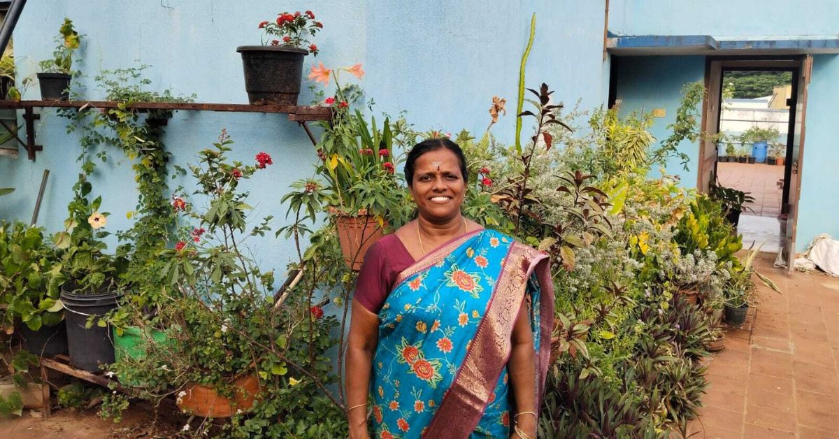 Like a woman Chennais terraces transformed into urban forests