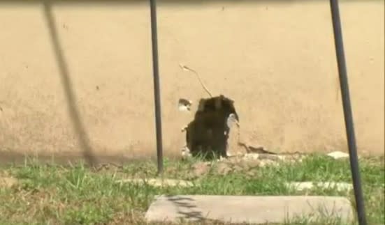Pinella's wife ends with holes in the house to Leck repair
