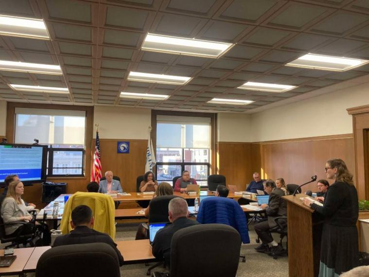 Renew Moline Inc: Public market study and new venture consultants