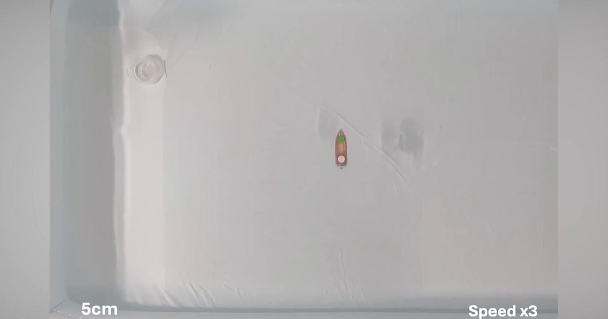 Swiss scientists invent environmentally friendly robots from fish feed | Characteristics