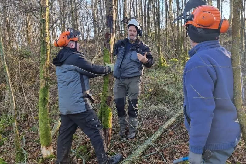 Willow Tit Habitat Restization in Treave Garden and Nature Reserve