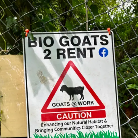 Narberth Town Council A sign with organic goat 2 rent. Under is a red triangle with a picture of a goat on which goats @ work.