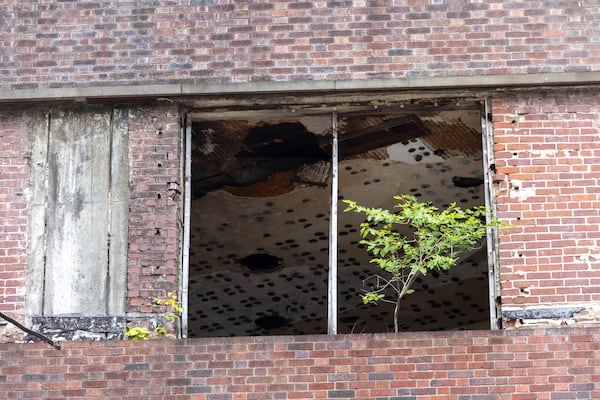 Plant life has taken over 143 Alabama St. in Atlanta because the building has been abandoned since the 1970s. (Arvin Temkar/AJC)