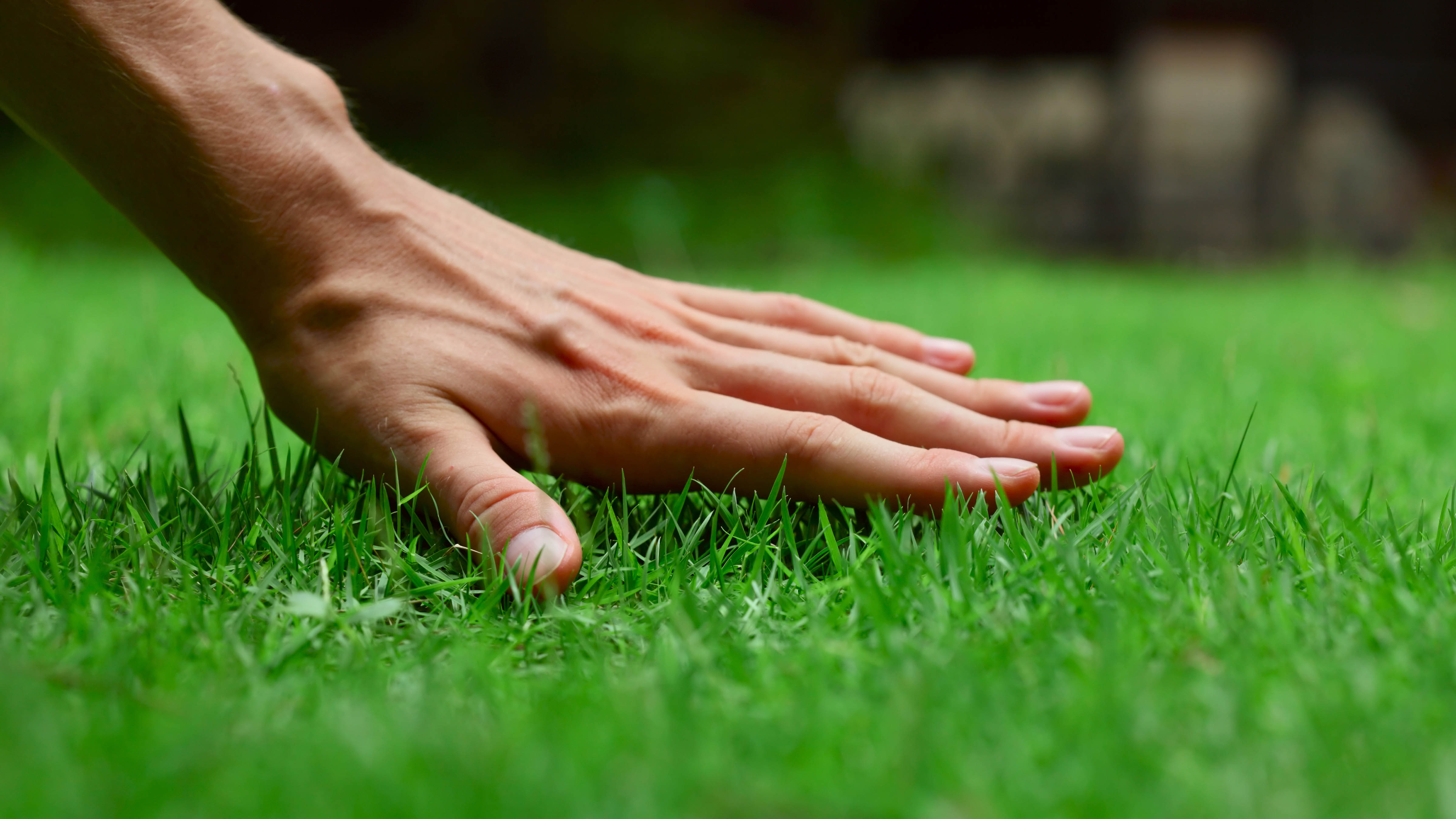 A hand that touches the grass in the courtyard