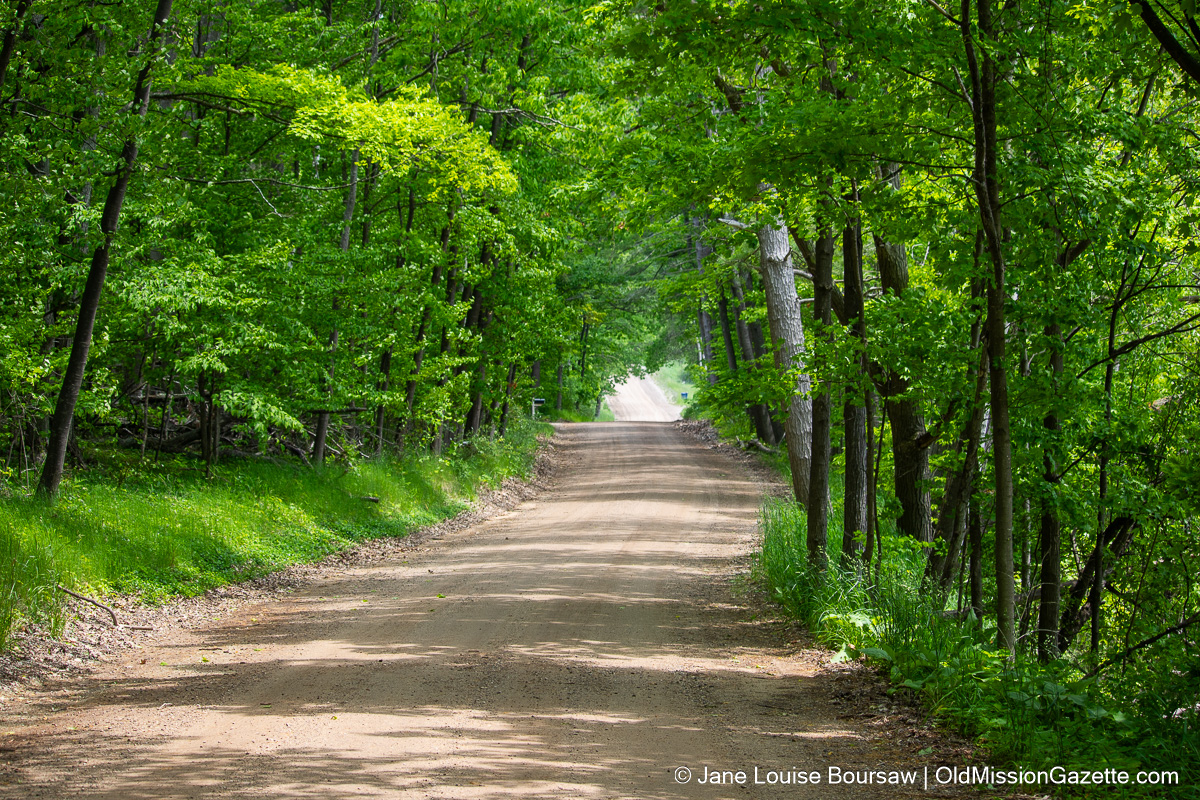 Ridgewood Road on the old Mission Peninsula | Jane Boursaw Photo