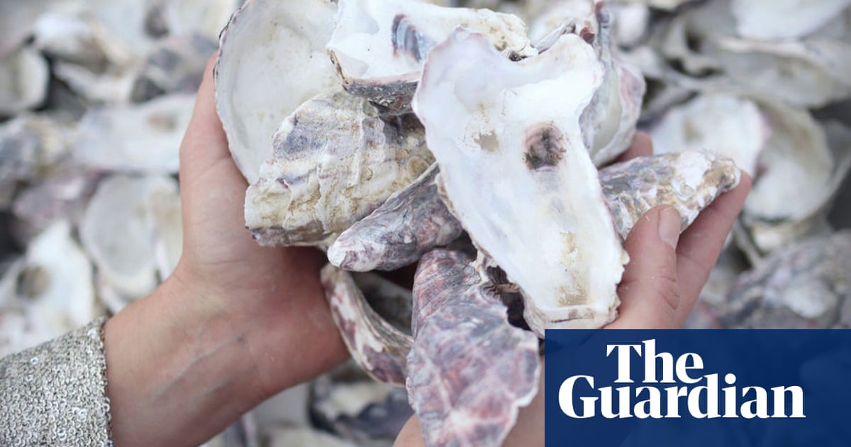 Algae bricks and oyster shell walls: What is on the horizon for environmentally friendly buildings in Australia? | Green building