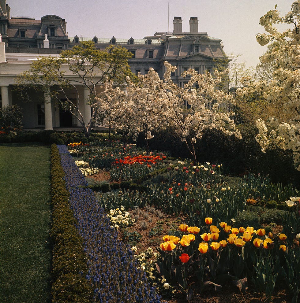 Rose garden of the White House