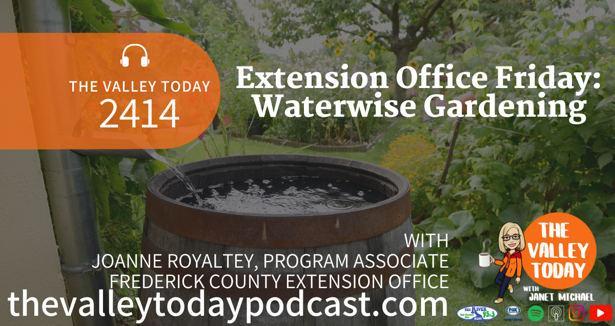 Waterwise Gardening - The River 95.3