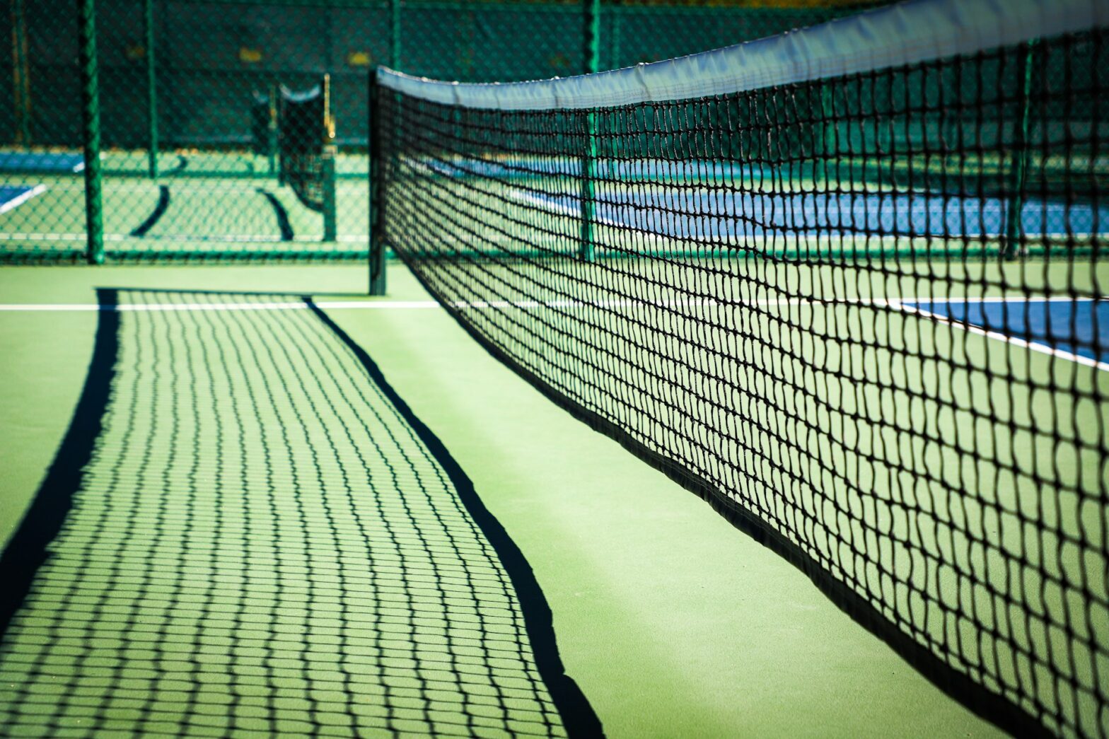 Why homeowners set a pickleball Court Builders in Record numbers