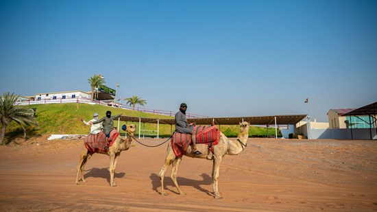 Can't show this picture? Visit: https://newdesignremodeling.com/wp-content/uploads/2025/07/1753892826_145_Dune-Buggy-Dubai-starts-environmentally-friendly-desert-safaris-and-private.jpg
