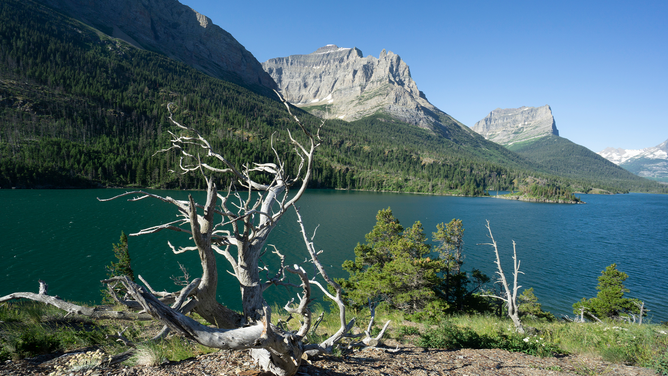 Visit National Parks for free on Monday