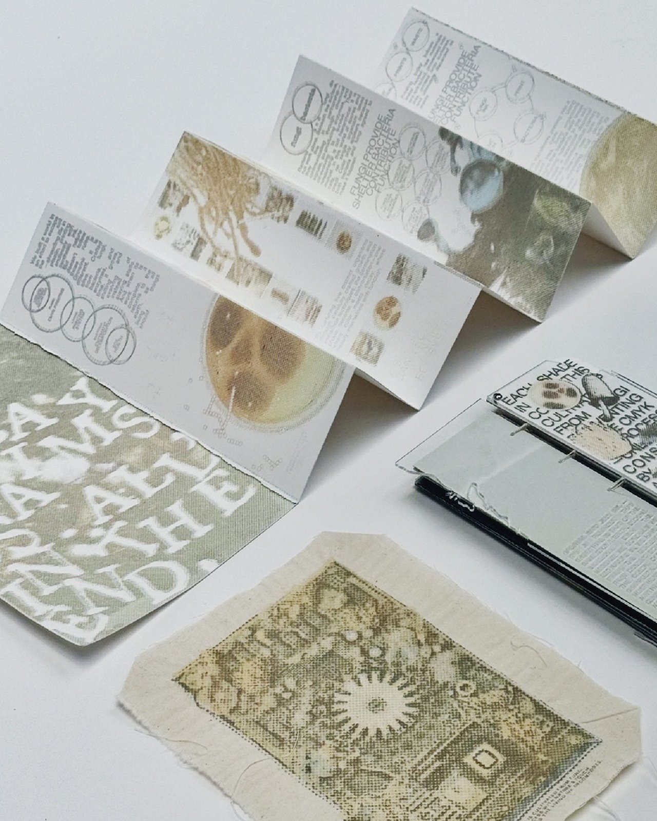 Bio-Int can initiate a new environmentally friendly printer system