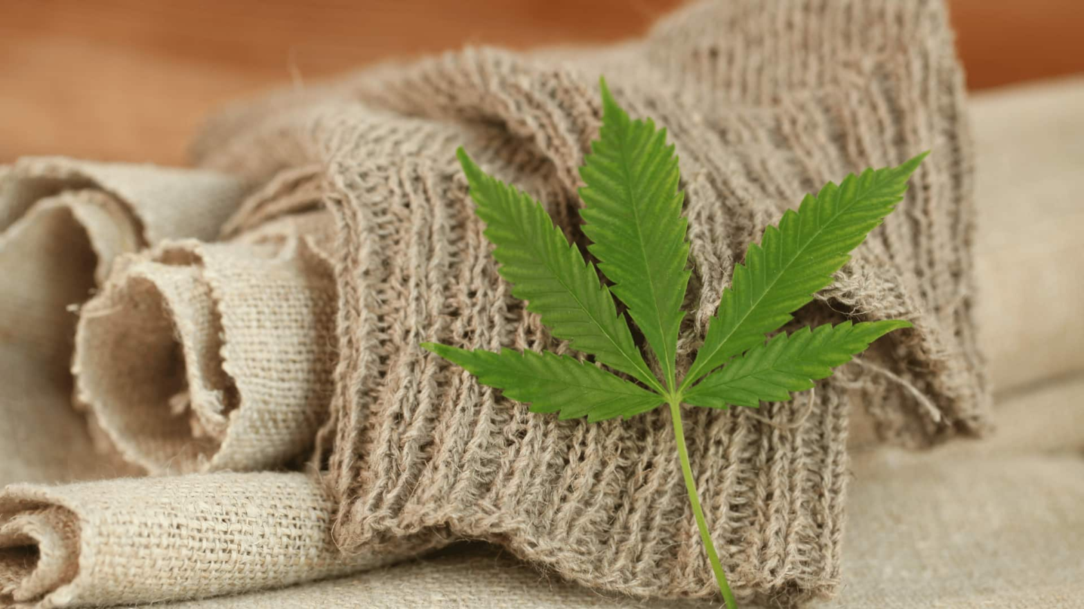 5 environmentally friendly possibilities for using hemp