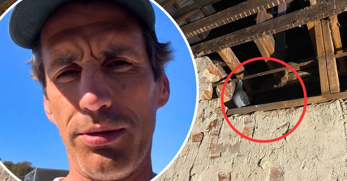 Andy Lee makes 'brave' discovery in his house in Melbourne from 1876 with the fiance Rebecca Harding: "Have you ever seen that?"