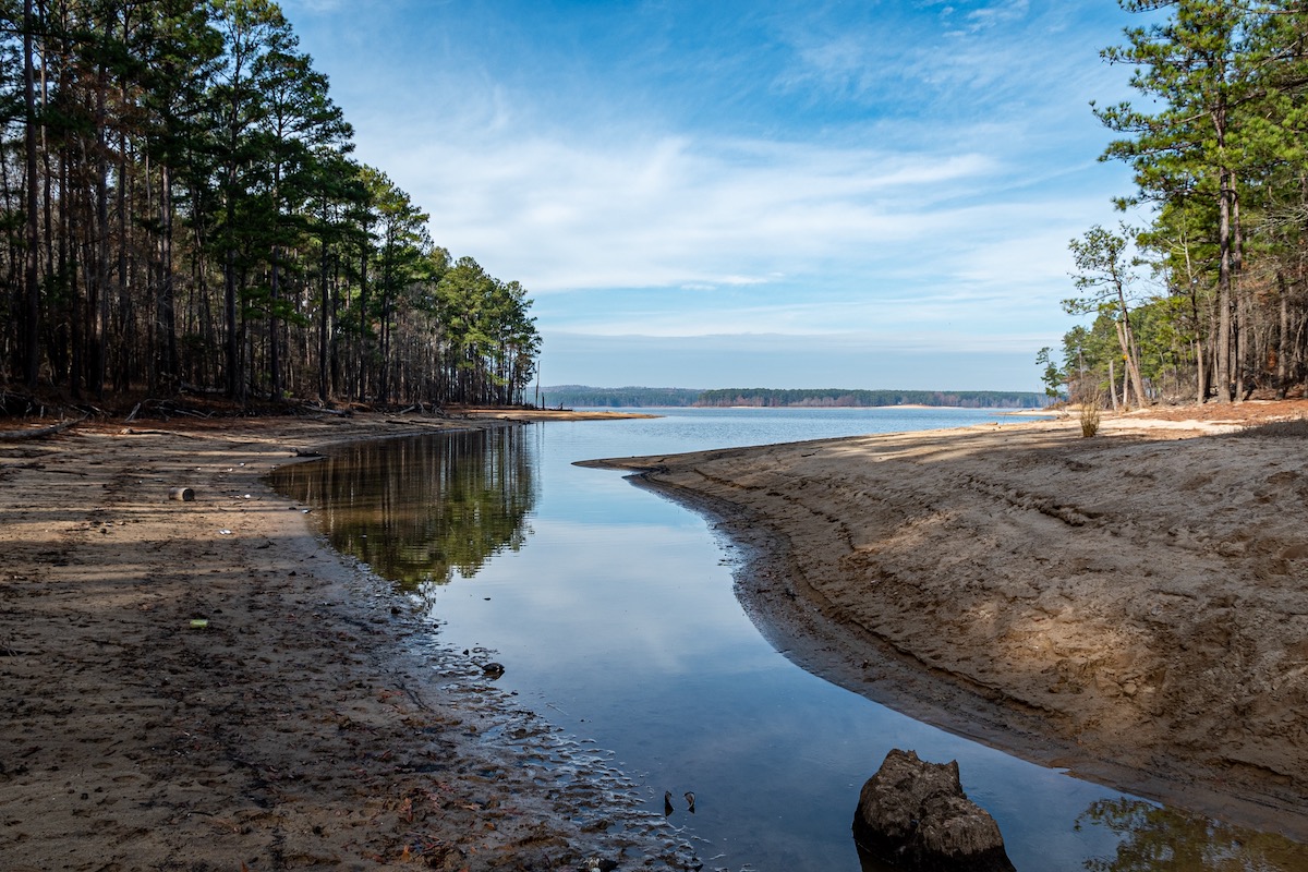 Ecological drought: Integration of considerations to restore ecological drought into the restoration efforts and the management of natural resources (part 1) | September 17, 2025