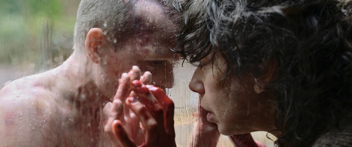 Home Entertainment Guide: "Bring her back", "The Phoenician Scheme", "Vermiglio", more | DVD/Blu-ray