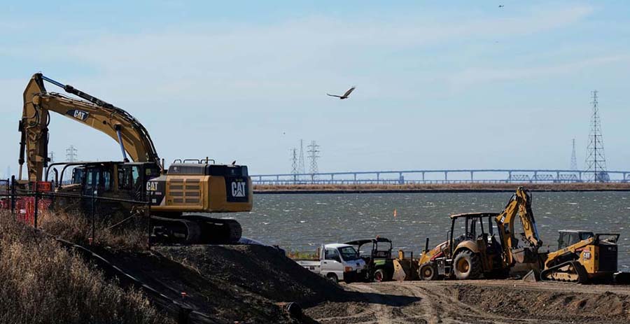 Projects for the restoration of coasts protect communities from rising seas, storms