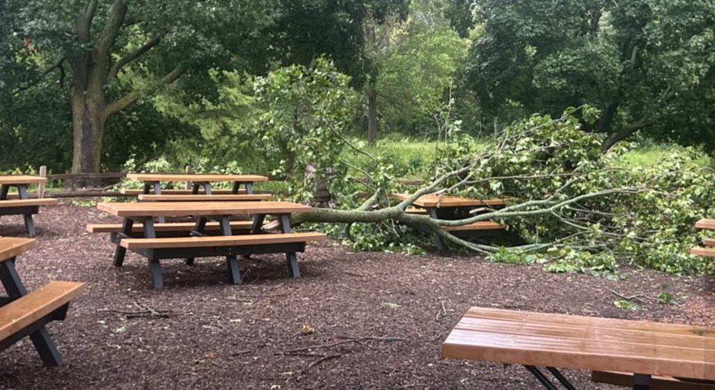 The Fox Valley Park district continues after storms