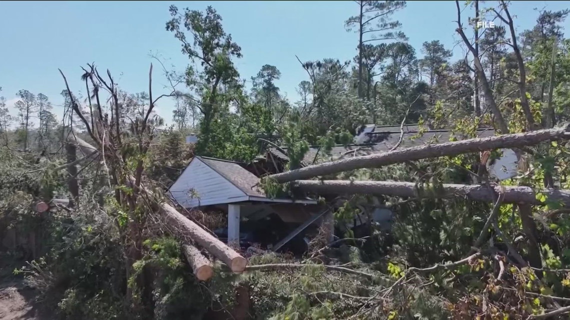 The childcare centers in Georgia receive scholarships after the hurricane Helene