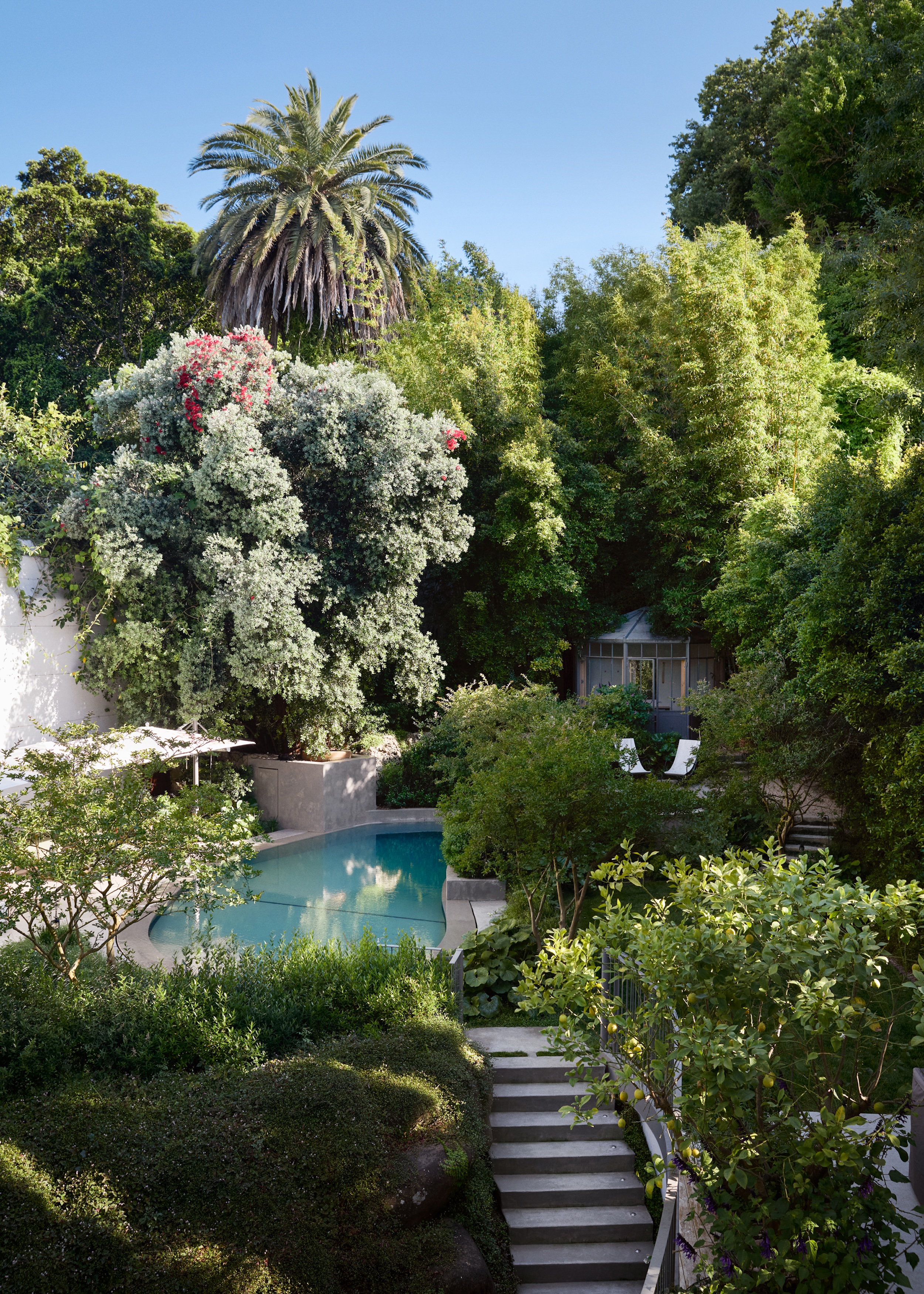 Studio Shamshiri Lisbon House