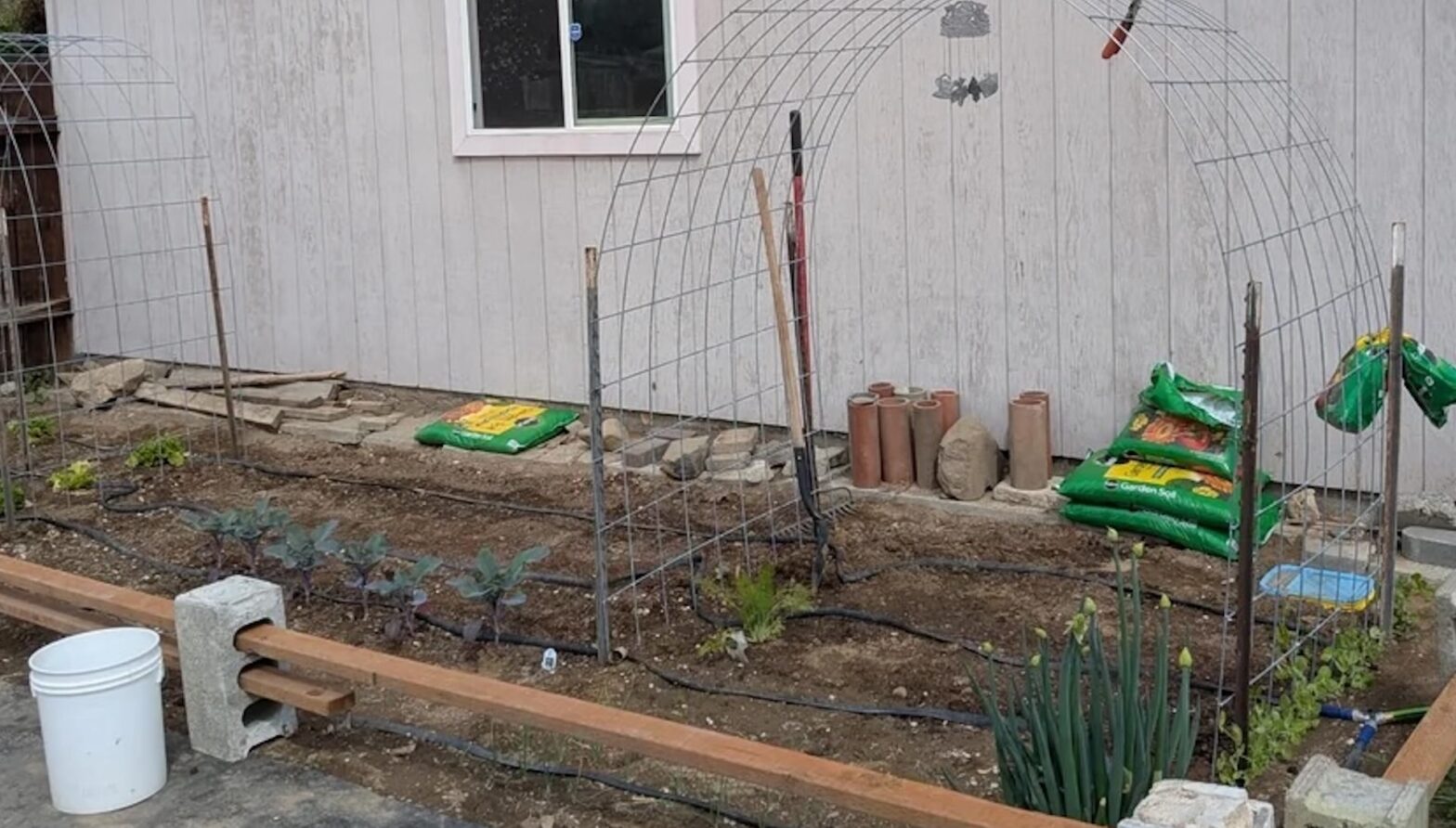 Gärtner shares breathtaking before-after photos of gardening: 'Bravo'