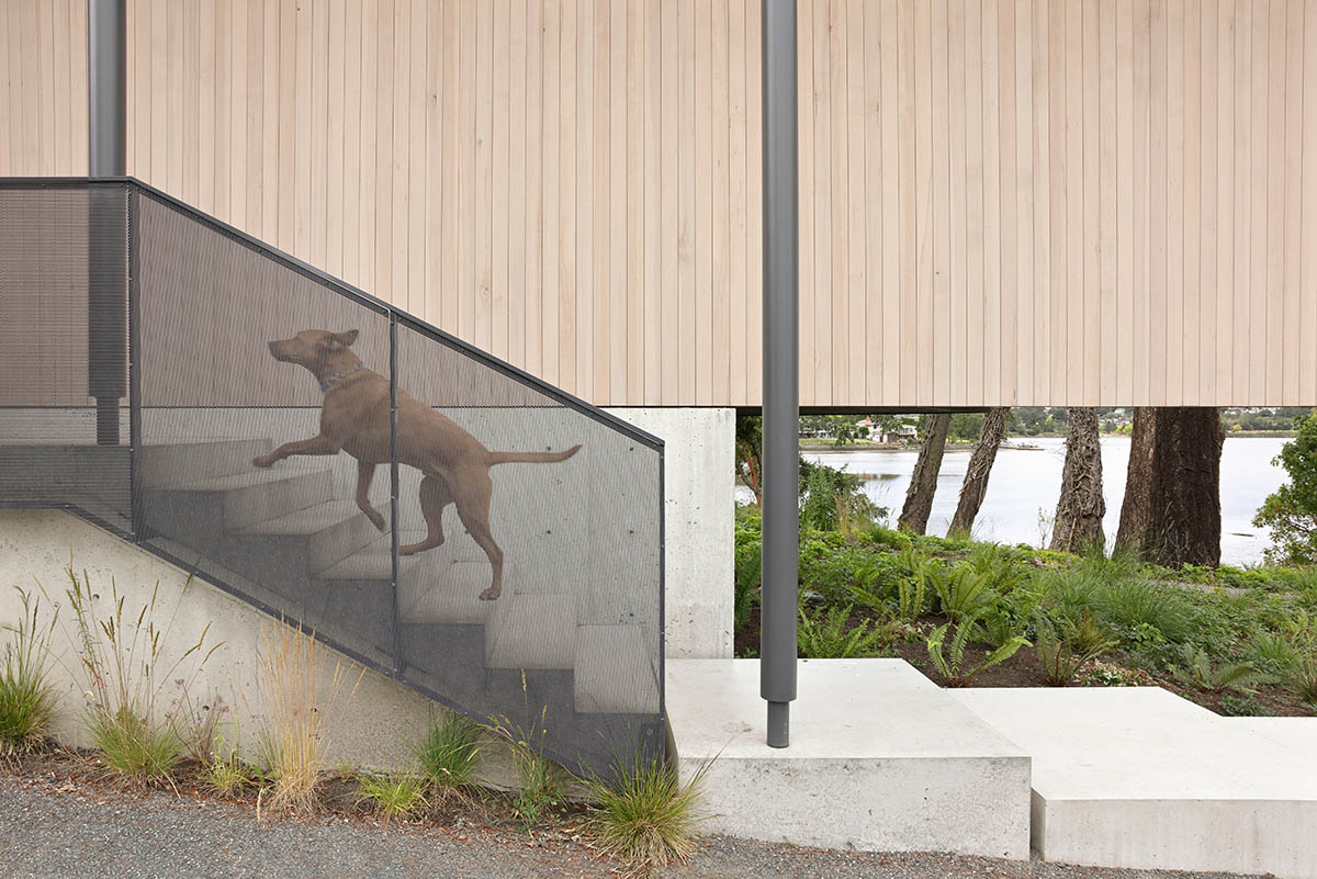 Splyce Design built a single -family houses that was choreographed by a colonnade input 